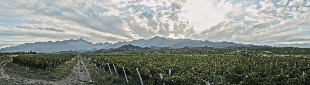 Ruca Malen Valle de Uco 2 image